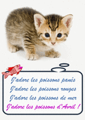 J'adore les poissons avec un chat mignon